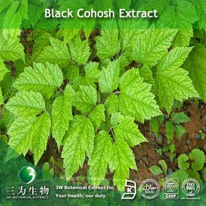 Best Black Cohosh Extract wholesale