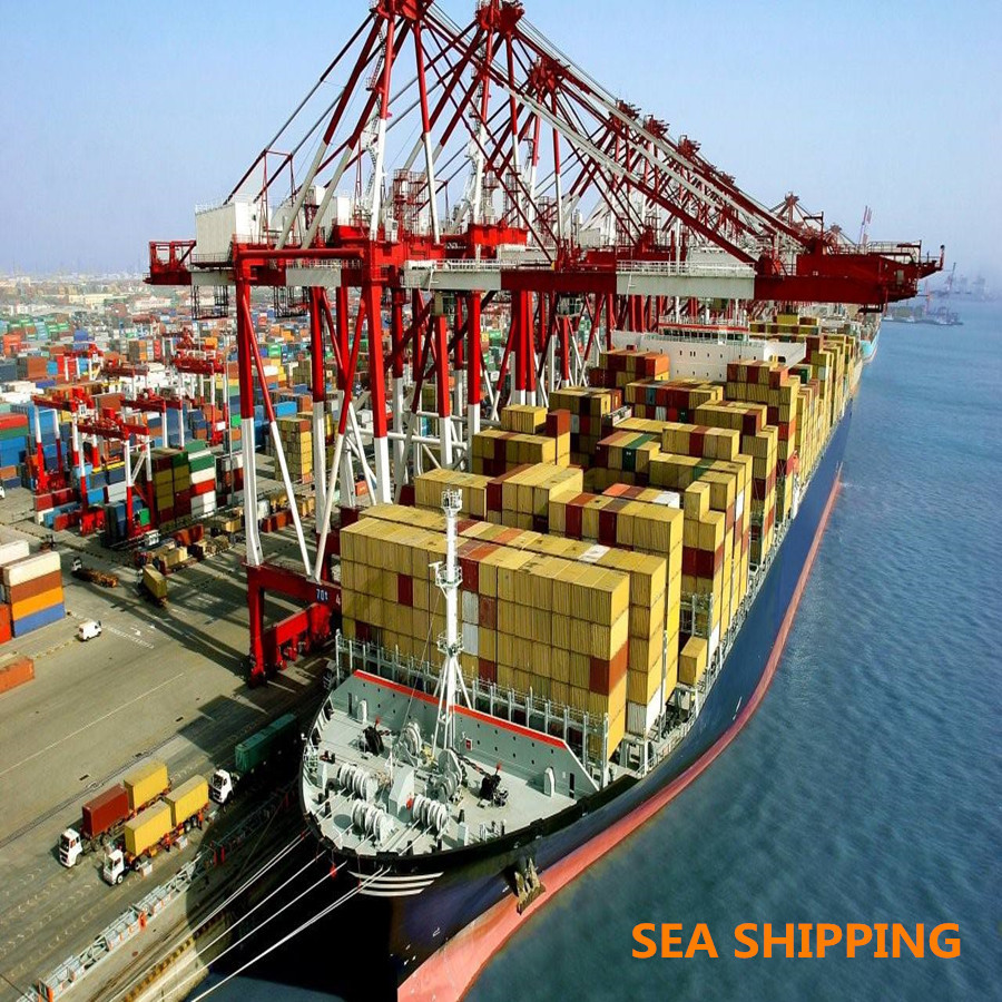 Best Cargo Duty Included Fast Vessel DDP Sea Shipping To Amazon USA wholesale