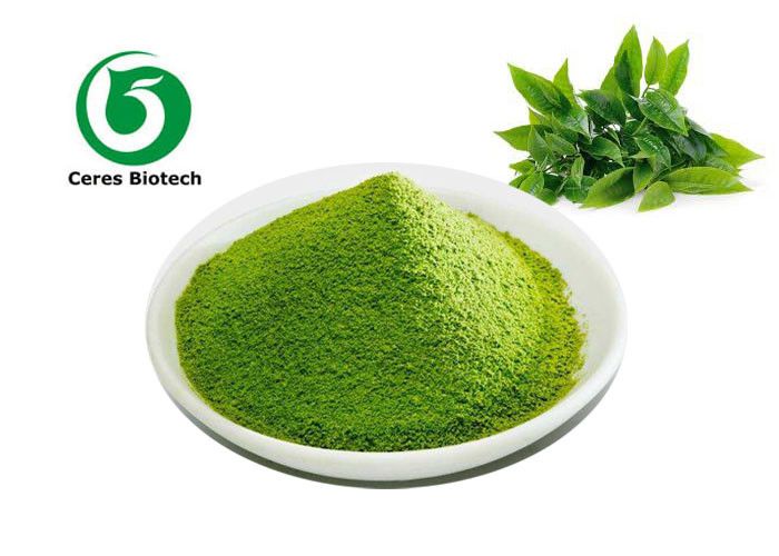China Pure Organic Matcha Green Tea Powder Japanese Instant Powder For Healthy on sale