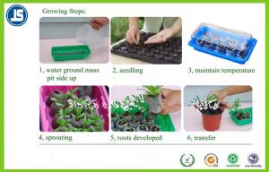 Black Plastic Seeding Tray Or Propagation Tray PS / PE For Greenhouse