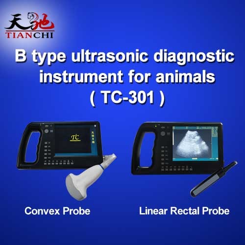 China TIANCHI Ultrasound Pregnancy Machine TC-301 Manufacturer In Taiwan on sale