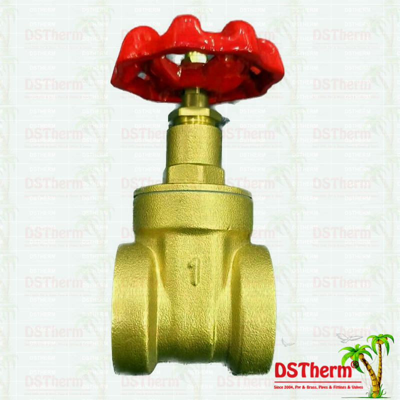 China Flexible Brass Gate Valve With Plastic Part Ppr Coated Check Valve on sale