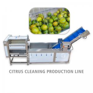 China Air Brush Cleansing Citrus Processing Line ,  Anti Abrasion Sullage Removal Potato Processing Line on sale