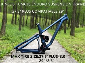 China 27.5er Plus 29er Enduro Suspension Mountain Bike Frame Without Shock 148*12mm Thru-axle  Boost  With Headset Seat Clamp on sale