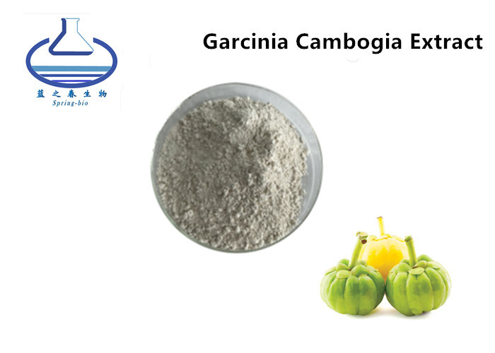 China Slimming products Organic Licorice Extract , Garcinia Cambogia Extract HCA 50% 60% on sale