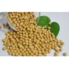 Buy cheap Small non gmo soybean meal from wholesalers