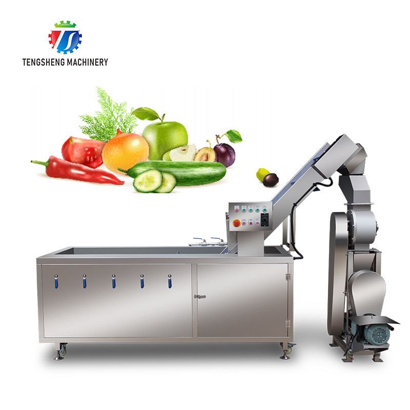 China Commercial 2.6KW Fruit And Vegetable Processing Line Bubble Cleaning Juicing Machine on sale