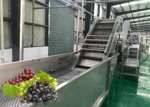 Best Water Saving Fruit Juice Processing Equipment Fresh Grape Washing Machine Environment Friendly wholesale