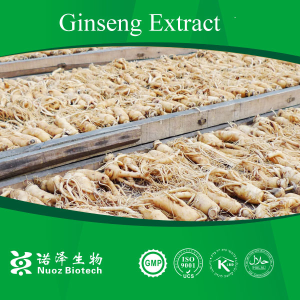 China Low Pesticide Residues Extract Panax Ginseng Root Extract 60% HPLC on sale