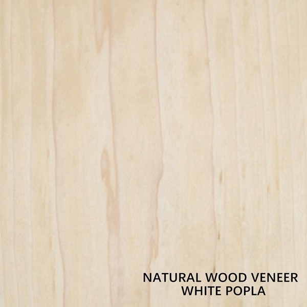 China Natural White Poplar Wood Veneer Whole Piece Size 2440*1220mm Thickness 0.4mm Low Price For Furniture Project Decoration on sale