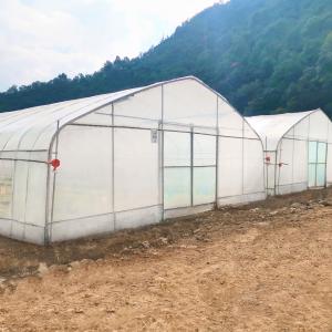 China Wholesale Greenhouse China Factory Price Manufacture Singlespan Hydroponic agriculture Greenhouse on sale