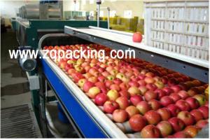 China Fruit Processing Line/Fruit And Vegetable Processing Line on sale