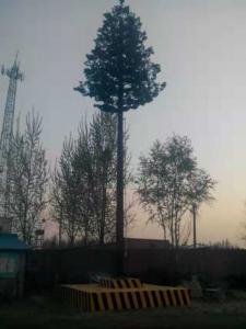 Best Artificial Bionic Pine Tree Self Supporting Camouflage Cell Tower 10m wholesale