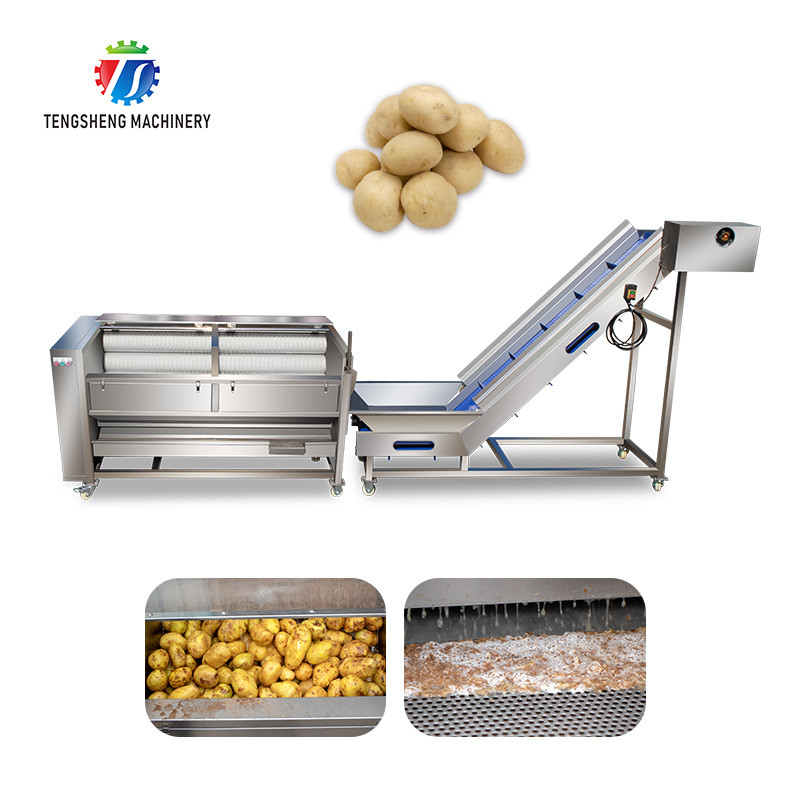 China 1.5 Tons / Hour Fruit And Vegetable Processing Line Root Brush Washing on sale