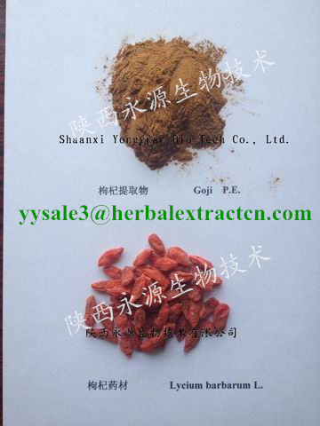 China Wolfberry(Goji Berry) Extract,  polysaccharide 40%, regulates immune system,Schisandra Extract,Schisandrins 2%,5%,9% on sale