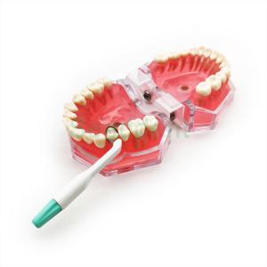Best SE-U029B Dental Pro-Matrix Matrix Band Disposable Matrix System wholesale
