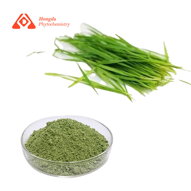 China Skincare Pure Organic Powder HALAL 80mesh Barley Grass Juice Powder on sale