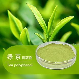 China Organic Green tea extract, with active ingredients EGCG, L-theanine, Tea Polyphenol instant green tea extract powder on sale