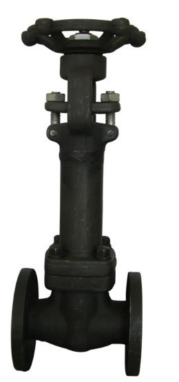 Cheap Forged Bellows Gate Valve for sale