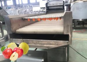 Best Professional Pear Chips Apple Processing Line 440V Turnkey Project wholesale