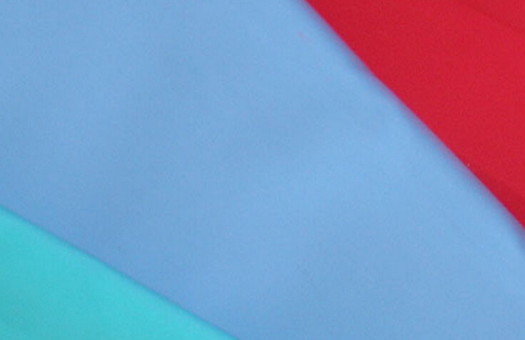 China fashion 100% polyester microfiber fabric / polar fleece fabric for glasses cloth on sale