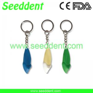 Best Fang tooth key chain wholesale
