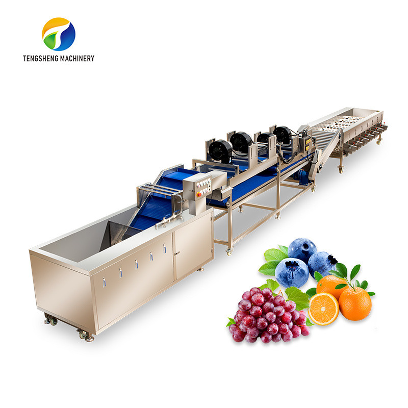 China Circulating Hole Fruit Processing Line ,  Tengsheng Roller Conveying Vegetable Processing Line on sale