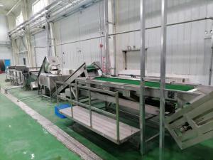 Best 500T/D Guava Pulp Production Line 415V Guava Processing Plant For Concentrated Juice wholesale