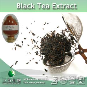 Best Black Tea dry extract wholesale