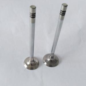 China Engine Intake Exhaust Valve 4D0 Race Forged Engine Valves 30604-00100 30604-01101 on sale