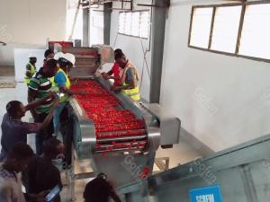 Best 25t/H Sus304 Tomato Processing Line Energy Saving High Efficiency wholesale
