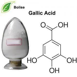 China Gallic Acid Galla Chinensis 149-91-7 C7H6O5 Pharma Herbal Extract on sale