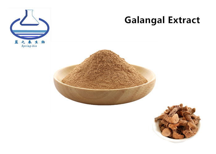 China Water Soluble Natural Food Coloring Powder , Galangal  Alpinia Officinarum Extract on sale