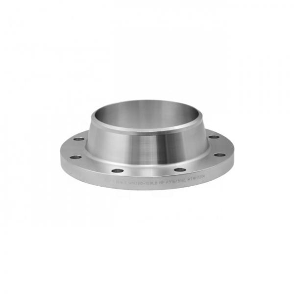 Forged Stainless Steel Weld Neck Flange Corrosion Resistant Customized