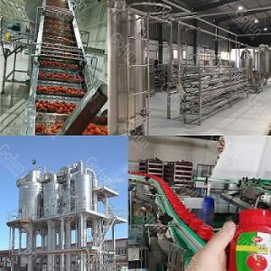 Best 10T/H Tomato Paste Processing Line SUS 304 Pulping Refining wholesale