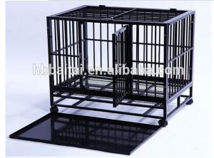 China best sale modular pet cage on sale