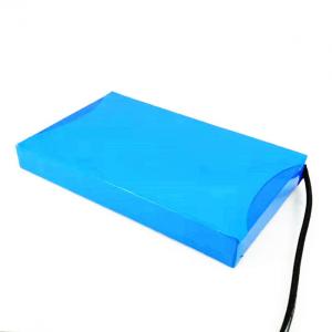 Best Deep Cycle 256Wh 12.8V 20Ah LiFePO4 Battery Pack wholesale