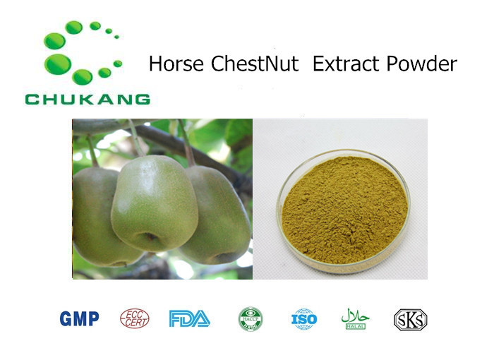 Best Natural Plant Extract Powder Horse Chest Nut P.E. Horse Chest Nut Extract Natural Herb Powder wholesale
