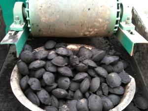 China Charcoal Briquette Machine/Charcoal Briquettes Making Machine/Charcoal Briquetting Machine on sale
