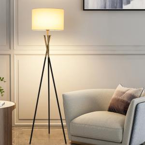 China Luxury Vertical RGB Atmosphere Floor Lamp For Hotel Study Bedroom Bedside Decoration on sale