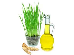 China Wheat germ oil Wheat germ oil price,suppliers of essential oils,wheat germ, on sale
