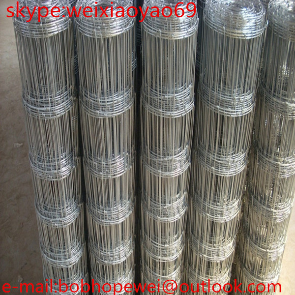 China grassland fence wire mesh/galvanized cattle filed fence mesh/wire mesh filed farm fencing/ livestock filed cattle wire on sale