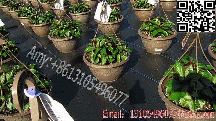 China black plastic weed barrier PP ground cover fabric /pp woven silt fence fabric on sale