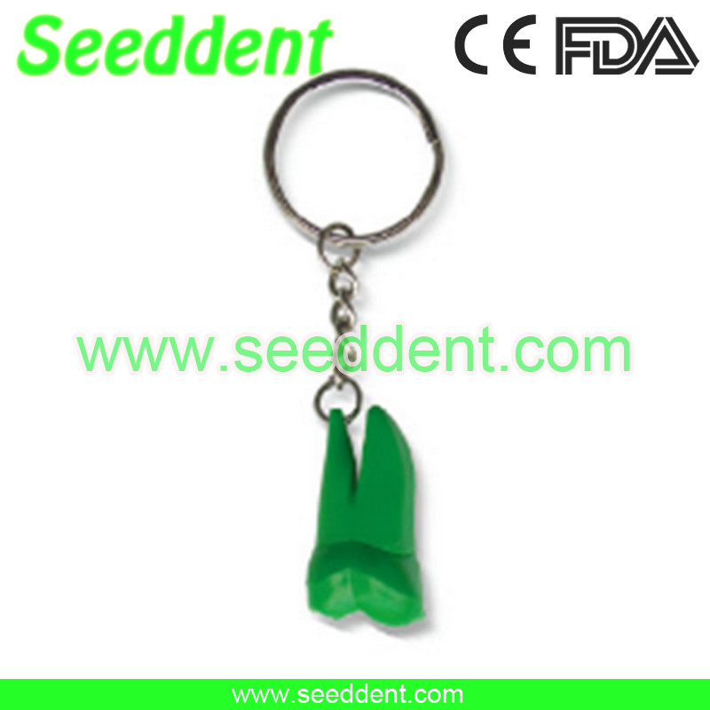 Best Molar tooth key chain wholesale
