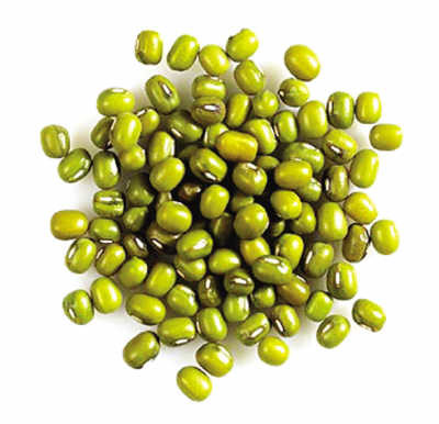 Buy cheap 2016crop best quality green mung beans from wholesalers