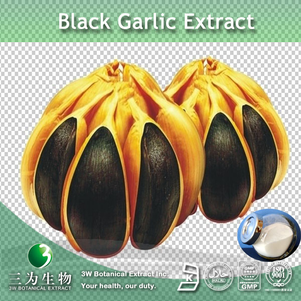 Best Chinese anise extract wholesale