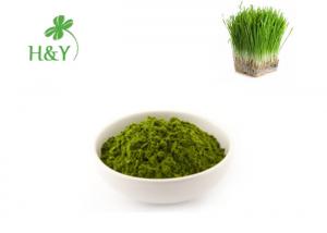 China Proteolytic Wheat Green Grass Powder , Wheat Grass Juice Powder on sale
