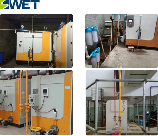 Environmentally friendly straw fired greenhouse boiler for chemical industry