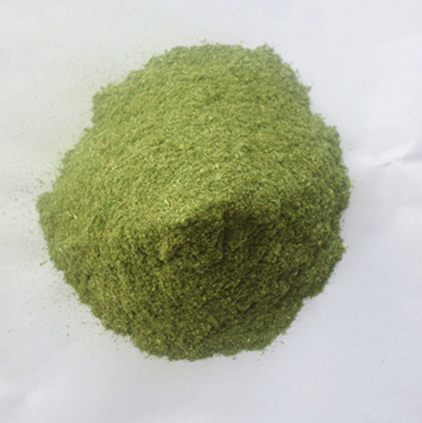 China 60-80mesh Pure Organic Wheat Grass Powder Bulk Sale on sale