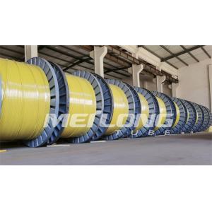 Best UNS S32750 Encapsulated Control Line Super Duplex 2507 Rilsan Nylon wholesale